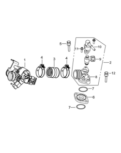 ΣΩΜΑ ΨΕΚΑΣΜΟΥ	